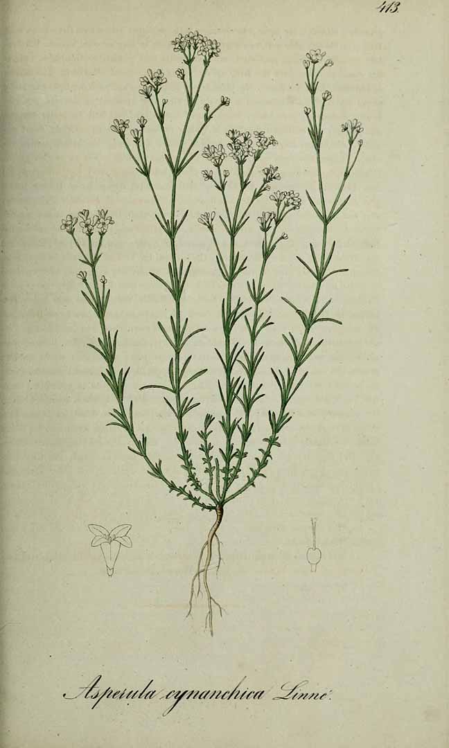 no HD illustration available (3)