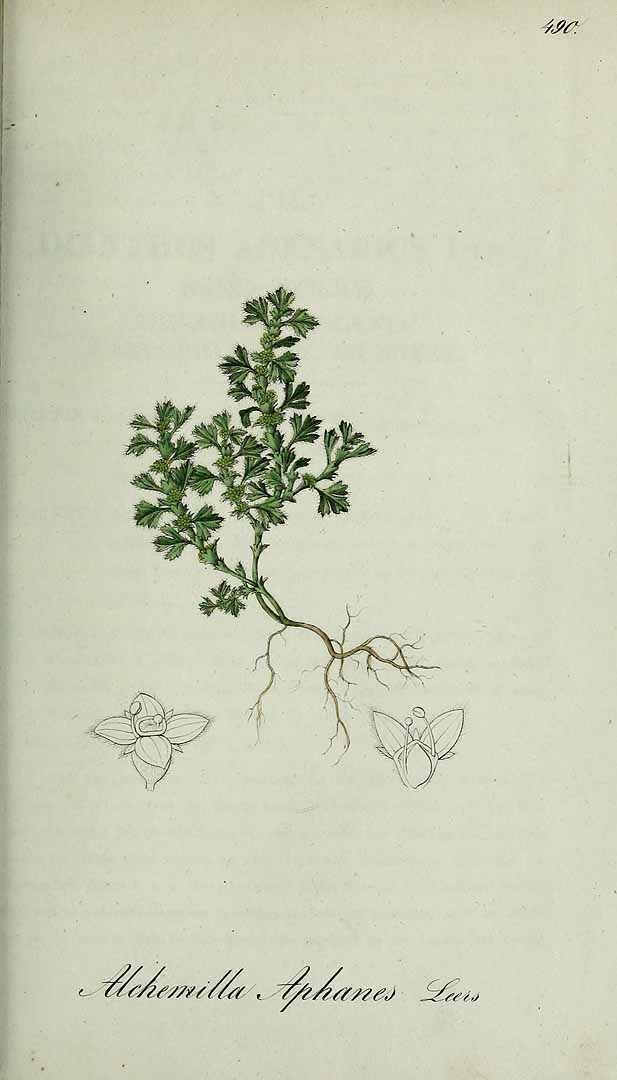 no HD illustration available (3)