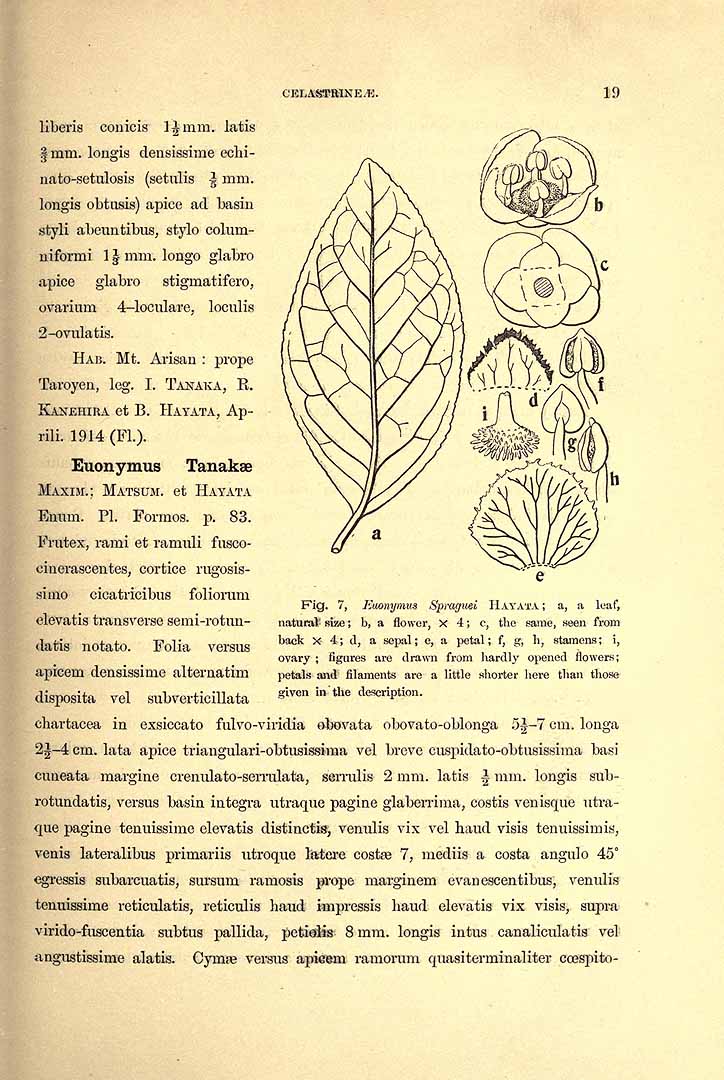 no HD illustration available (3)