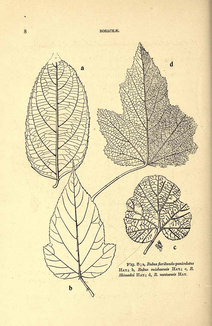 no HD illustration available (3)