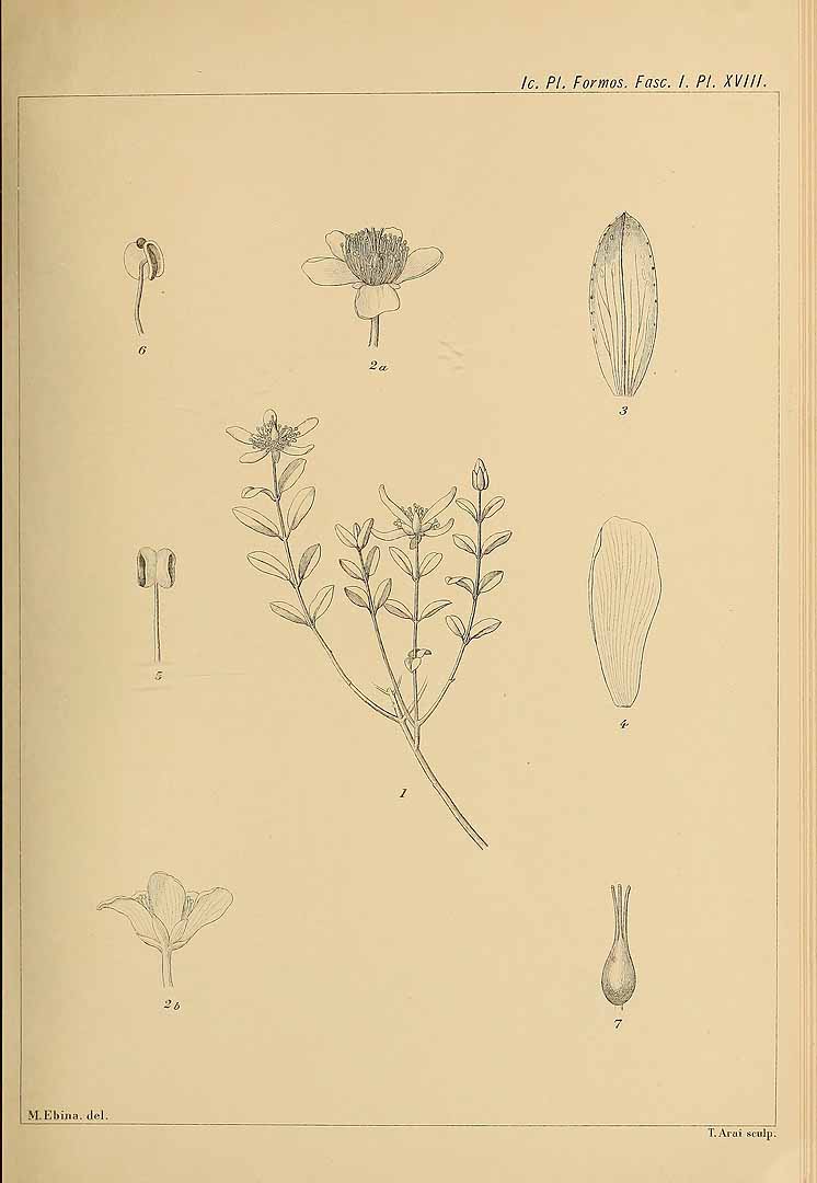 no HD illustration available (3)