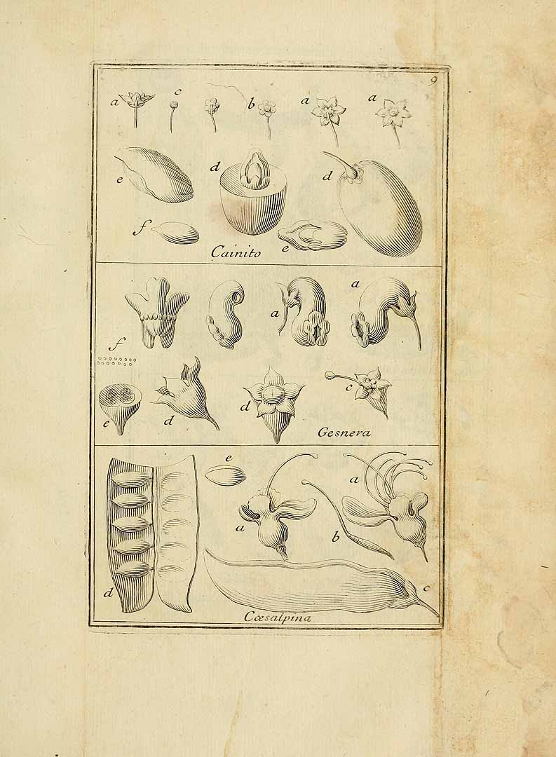 no HD illustration available (3)