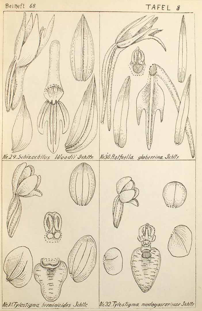 no HD illustration available (3)