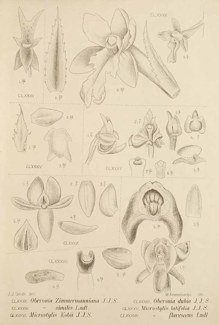 no HD illustration available (3)