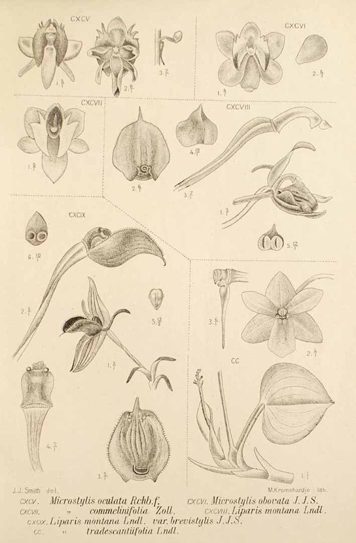 no HD illustration available (3)