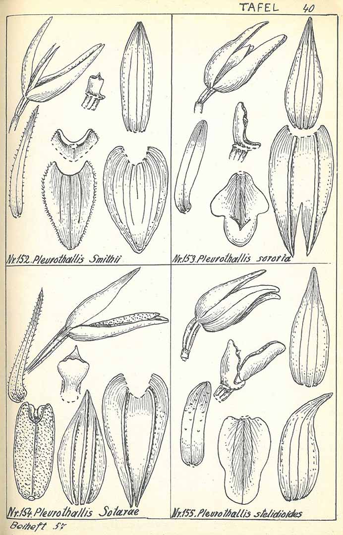 no HD illustration available (3)