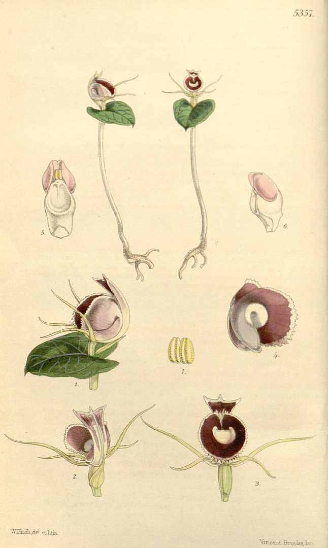 no HD illustration available (3)