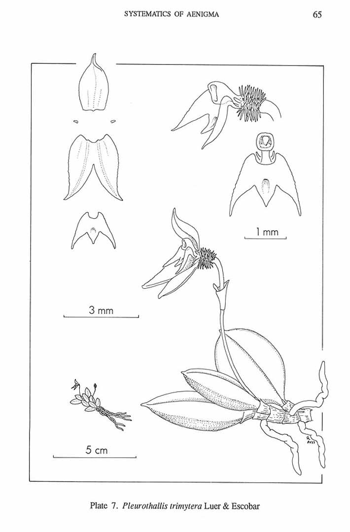 no HD illustration available (3)