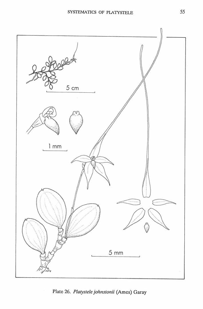 no HD illustration available (3)