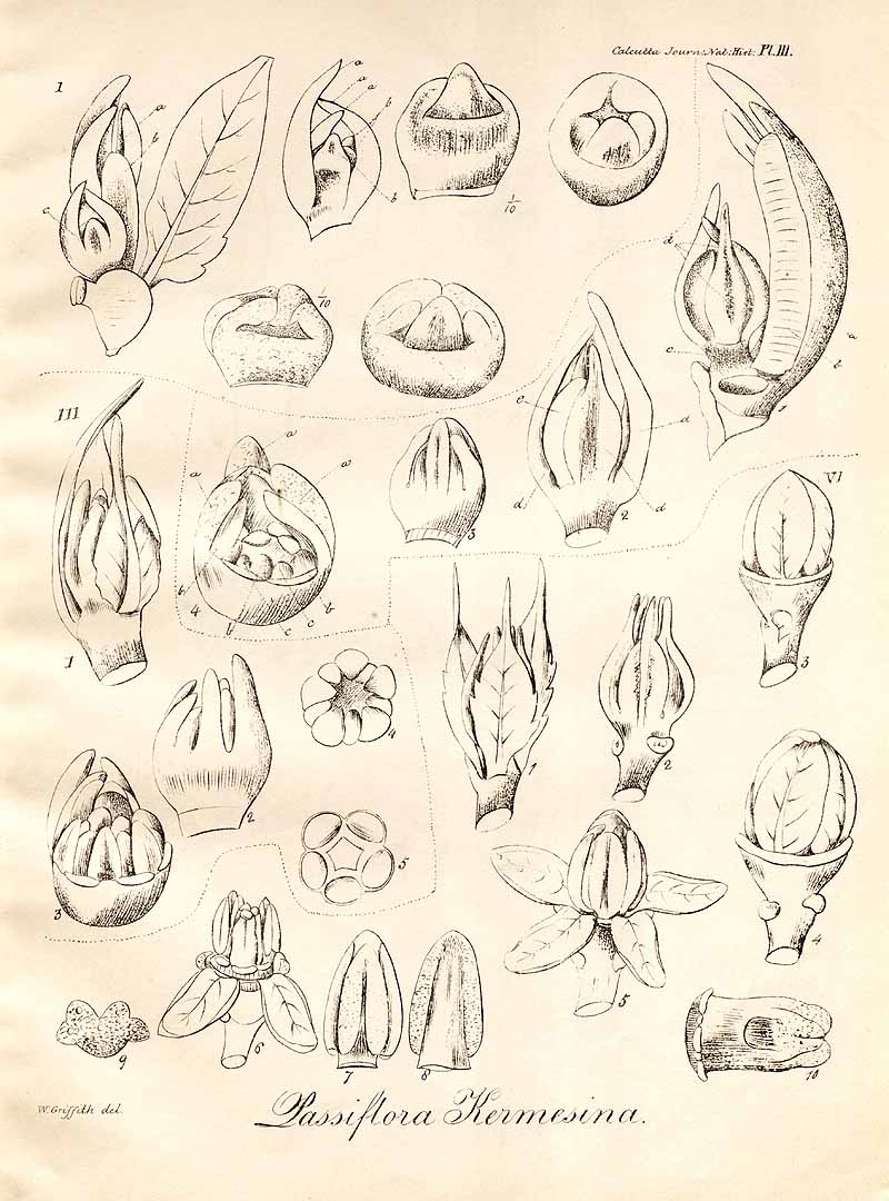 no HD illustration available (3)