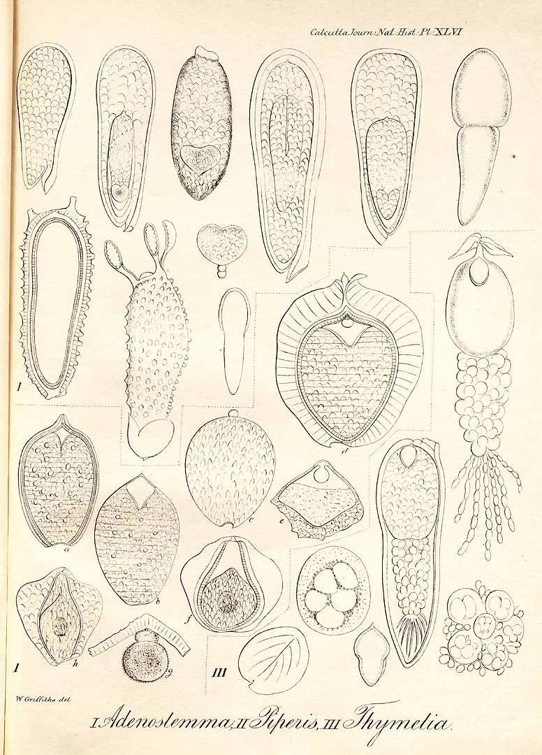 no HD illustration available (3)