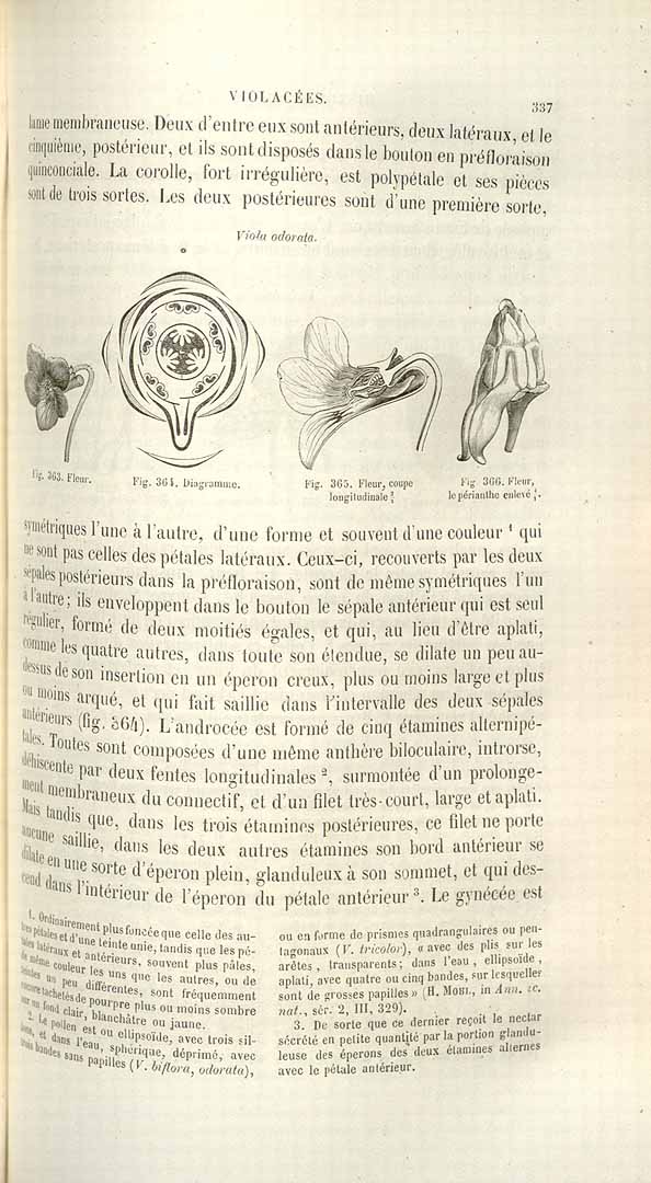 no HD illustration available (3)