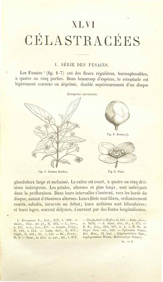 no HD illustration available (3)