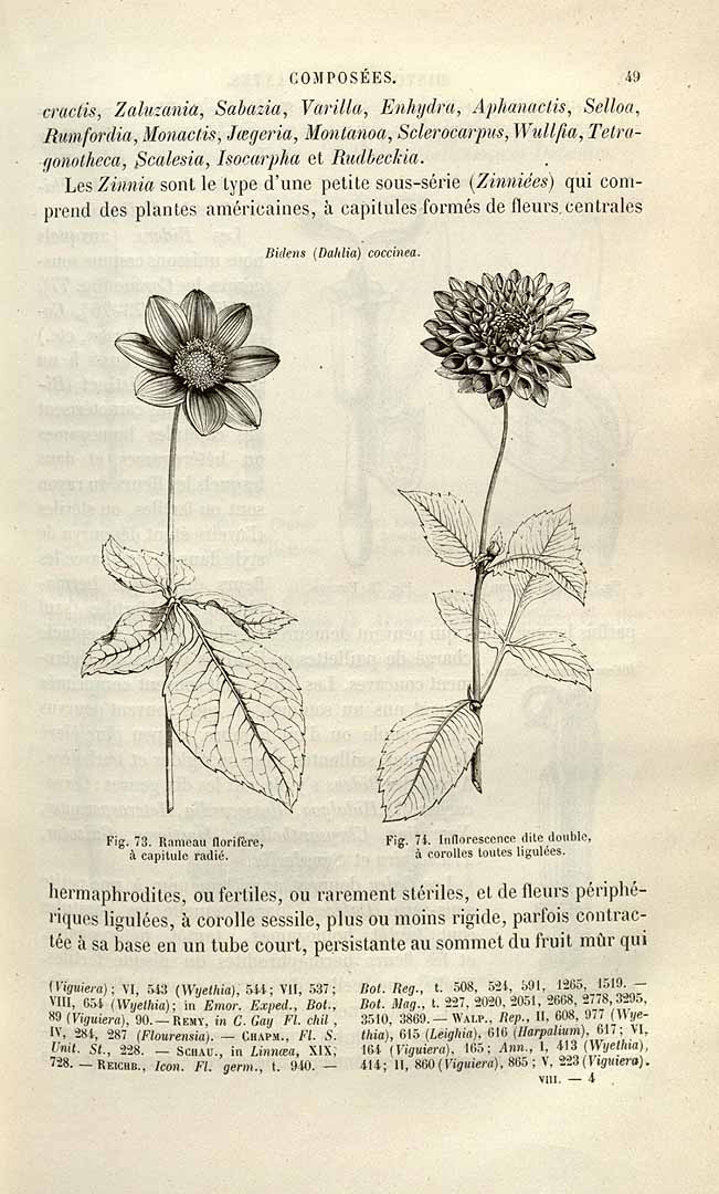 no HD illustration available (3)