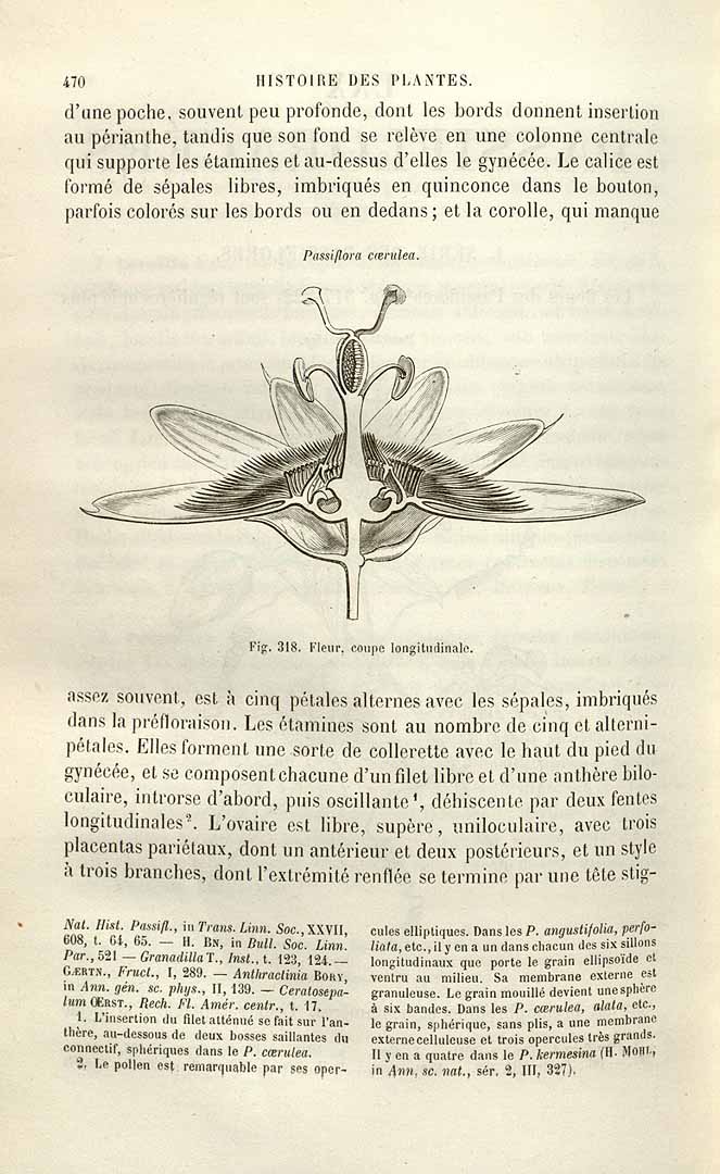 no HD illustration available (3)