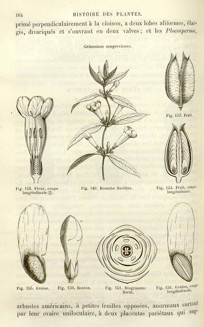 no HD illustration available (3)