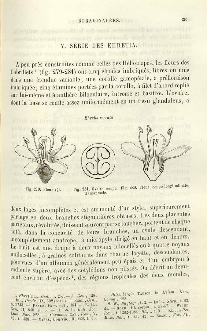 no HD illustration available (3)