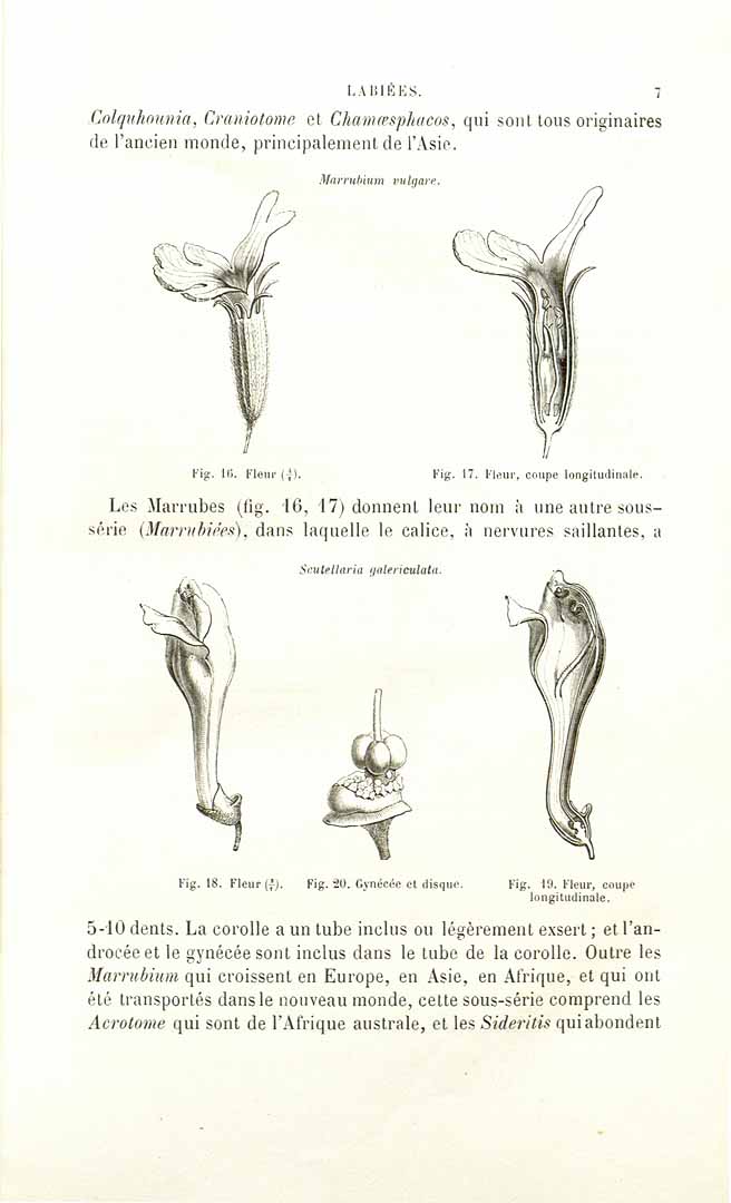 no HD illustration available (3)