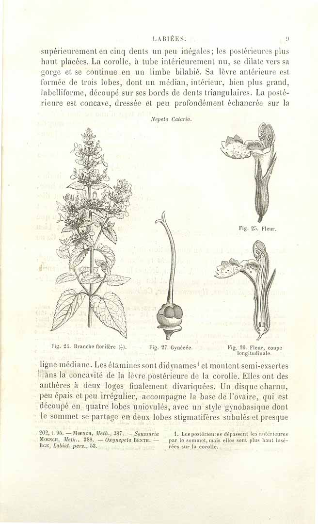 no HD illustration available (3)