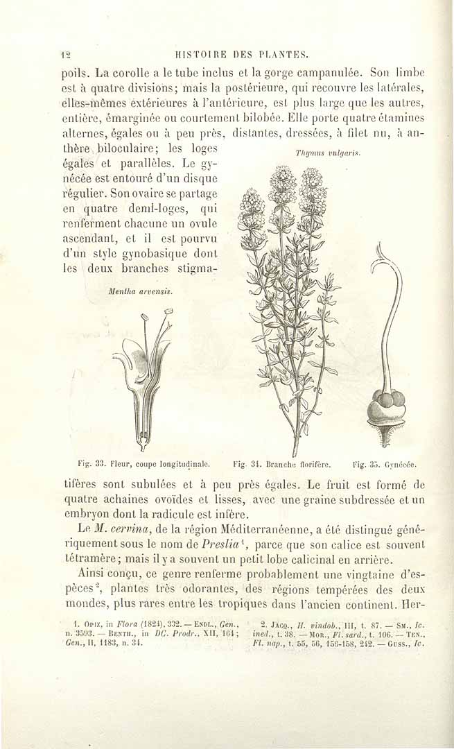 no HD illustration available (3)