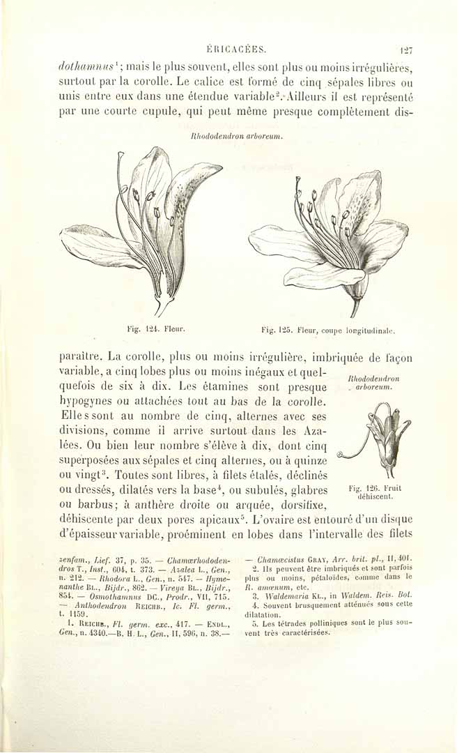 no HD illustration available (3)