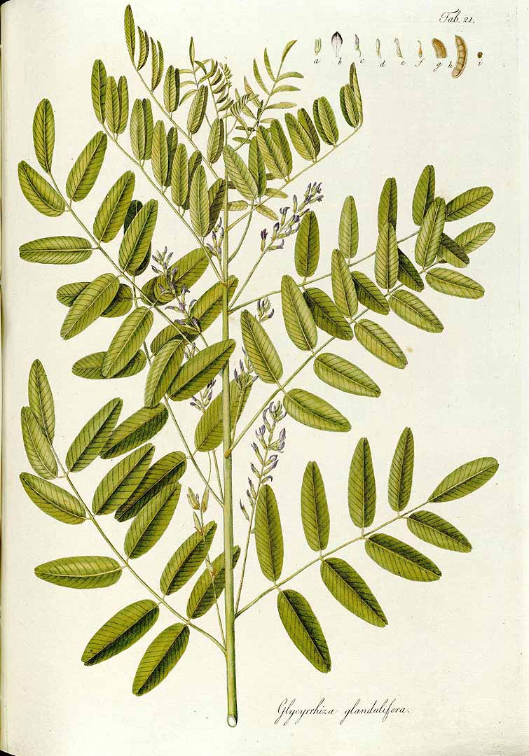 no HD illustration available (3)