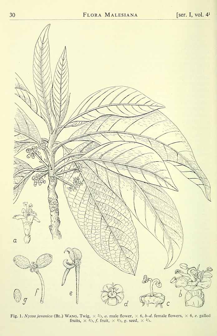 no HD illustration available (3)