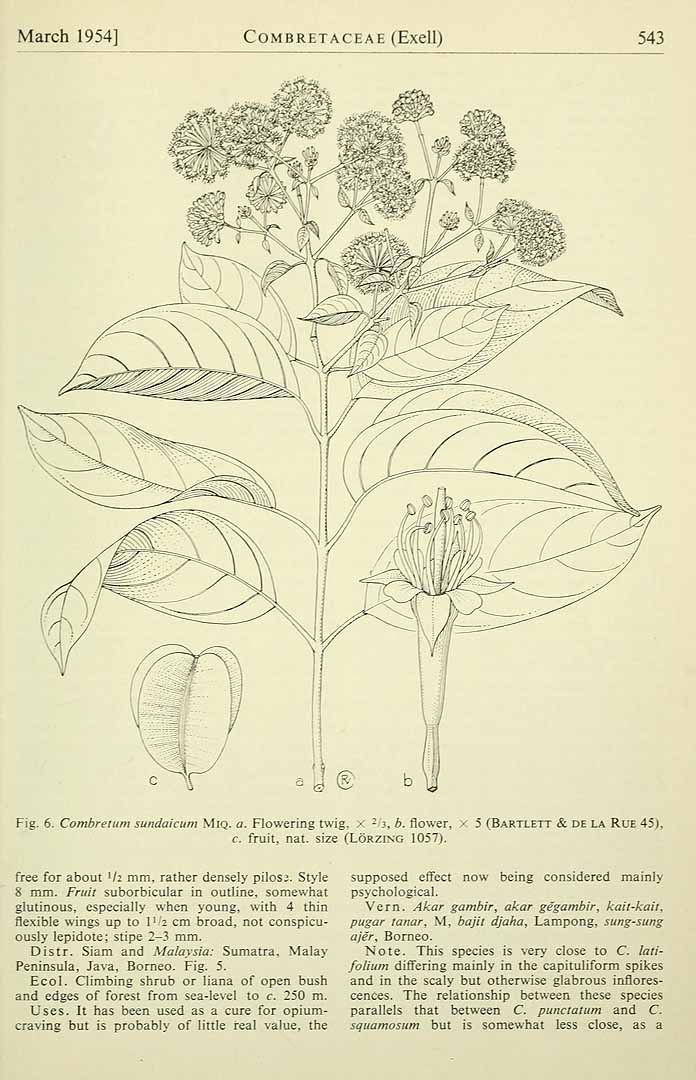 no HD illustration available (3)