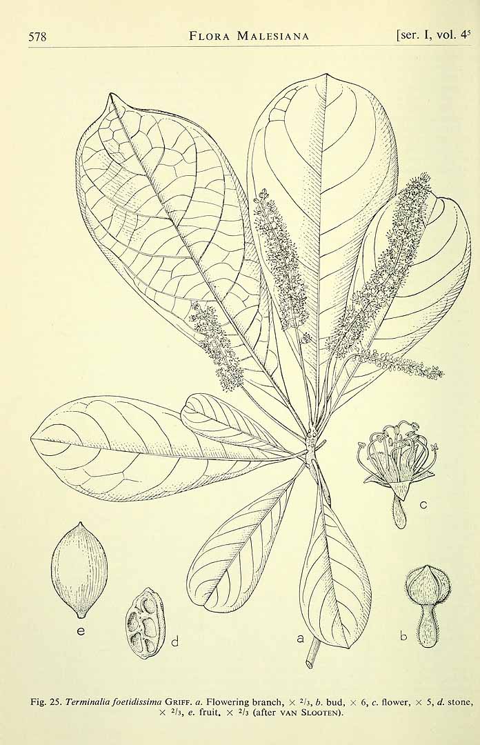 no HD illustration available (3)