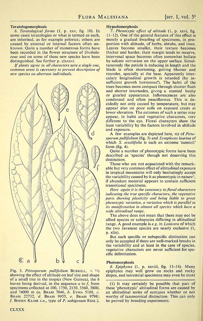 no HD illustration available (3)