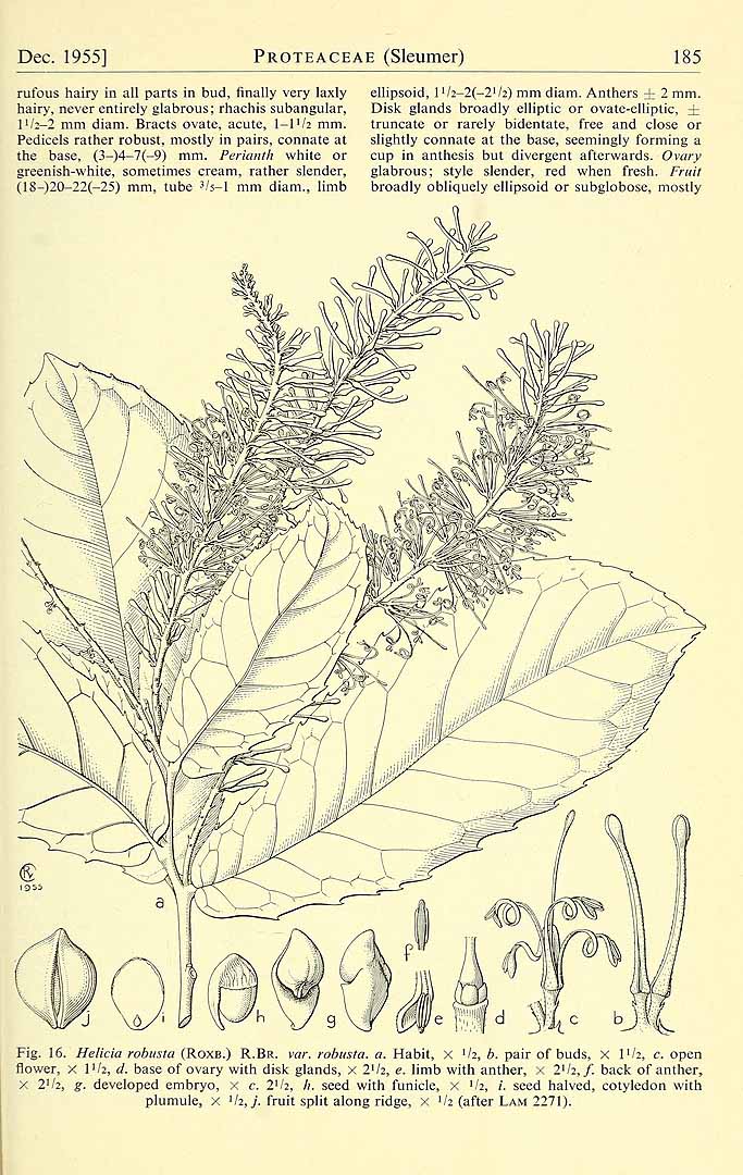 no HD illustration available (3)