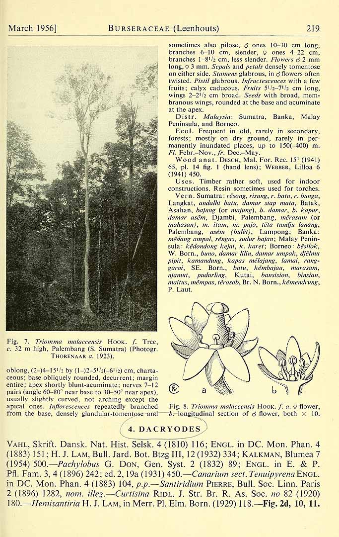 no HD illustration available (3)