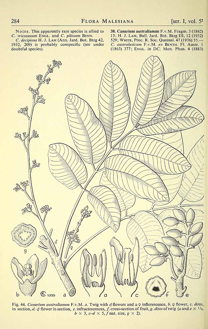 no HD illustration available (3)