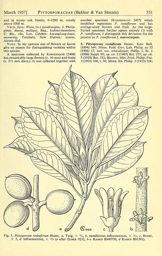 no HD illustration available (3)