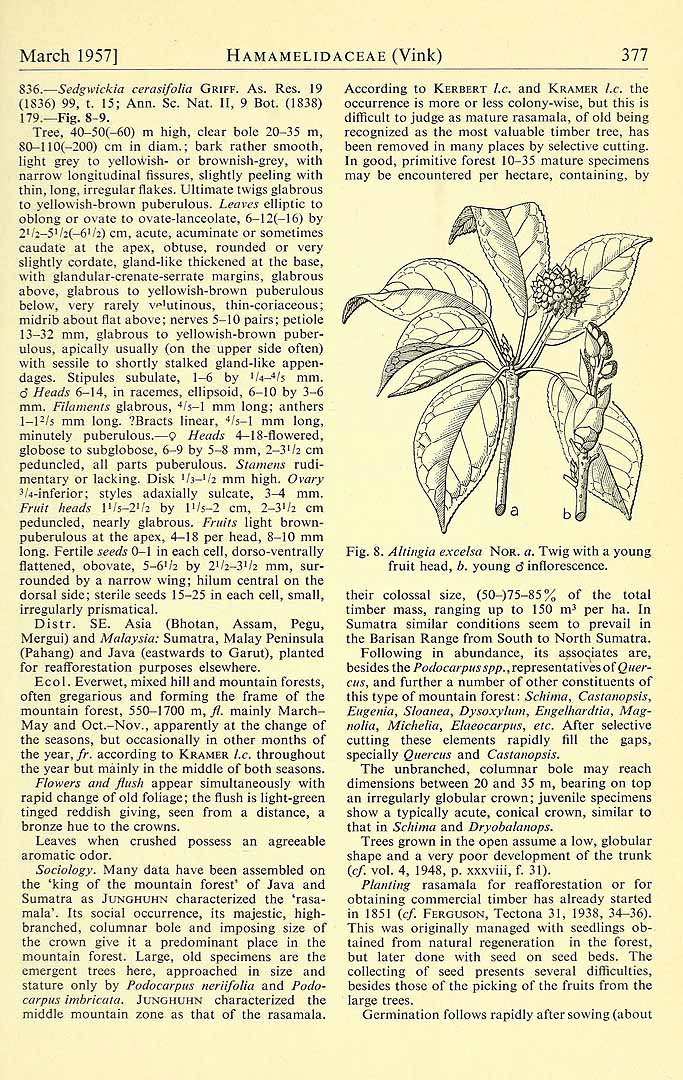 no HD illustration available (3)