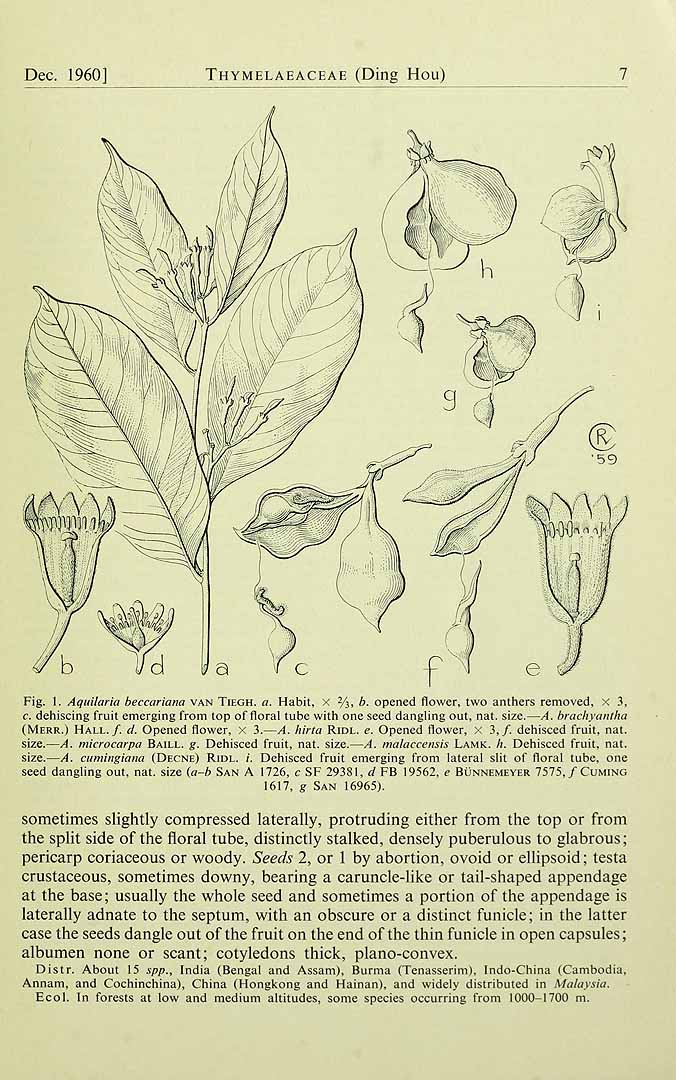 no HD illustration available (3)