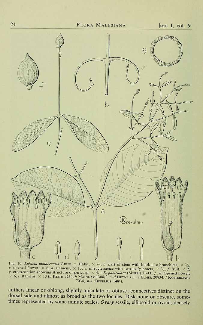 no HD illustration available (3)