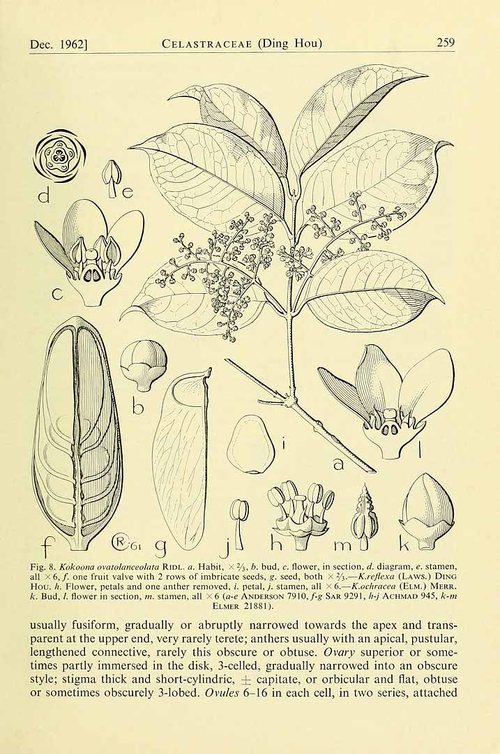 no HD illustration available (3)