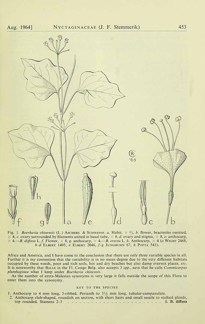 no HD illustration available (3)