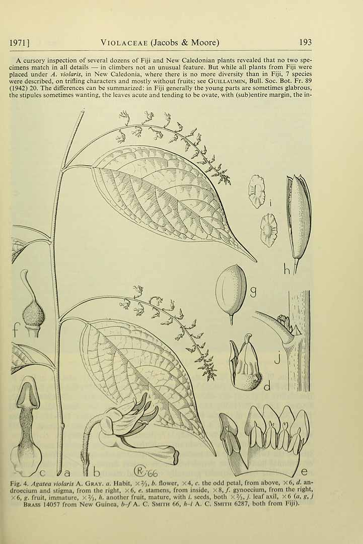 no HD illustration available (3)