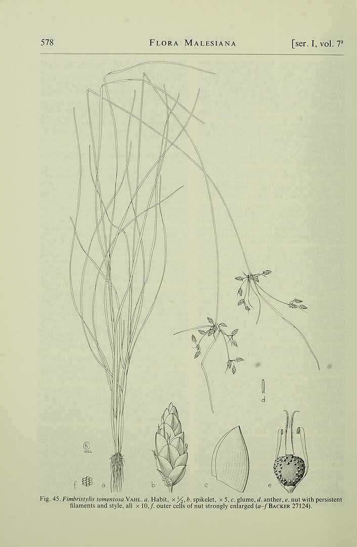 no HD illustration available (3)