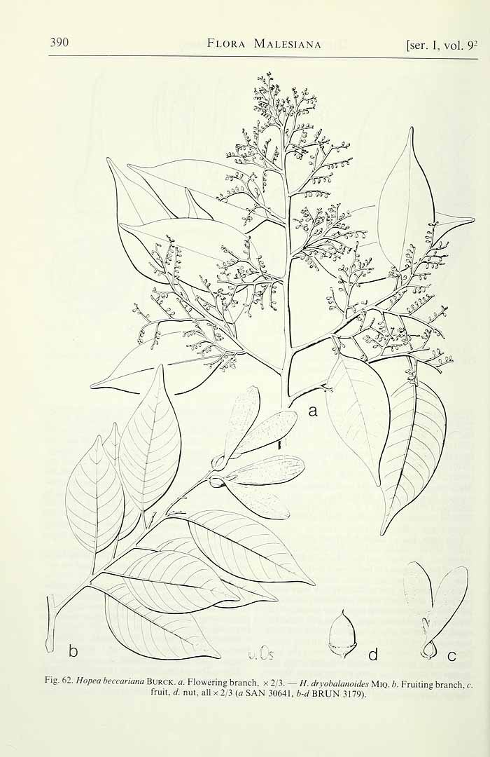 no HD illustration available (3)