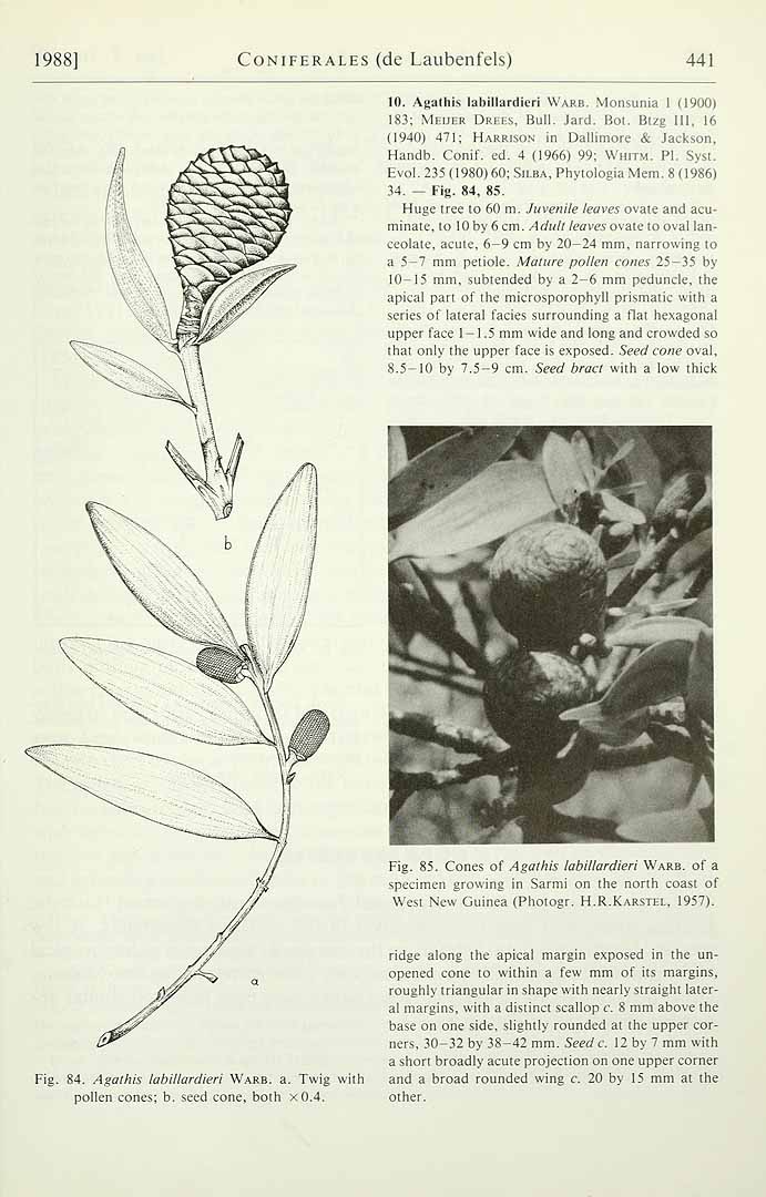 no HD illustration available (3)