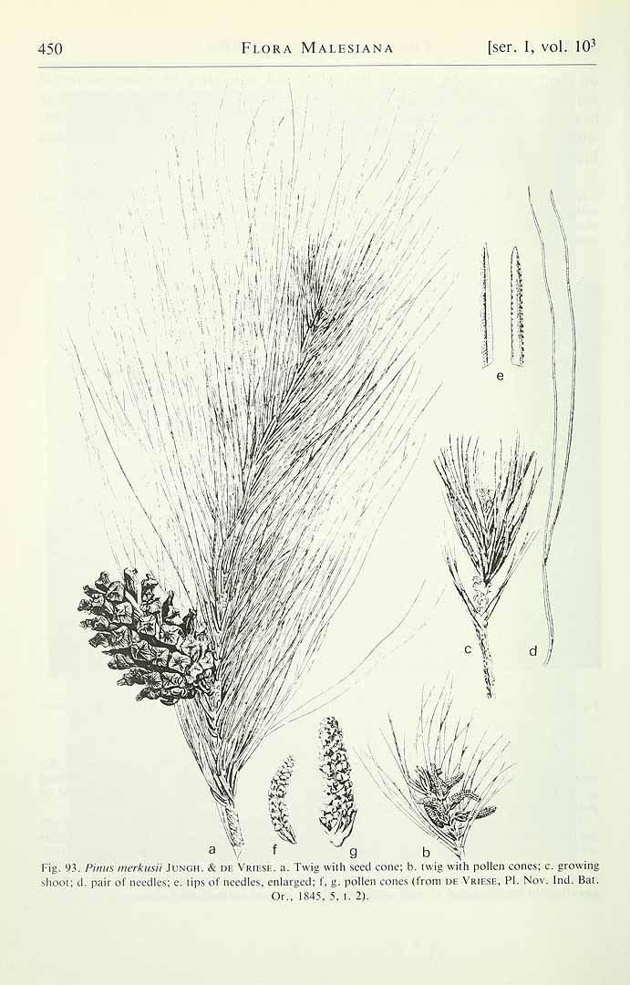 no HD illustration available (3)