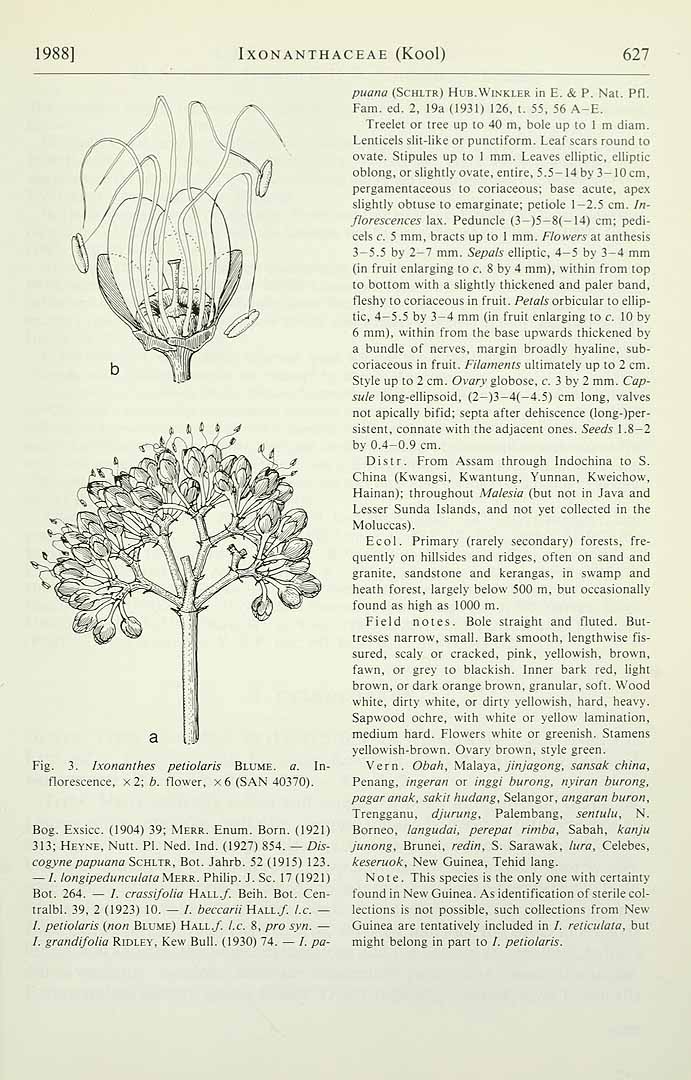 no HD illustration available (3)