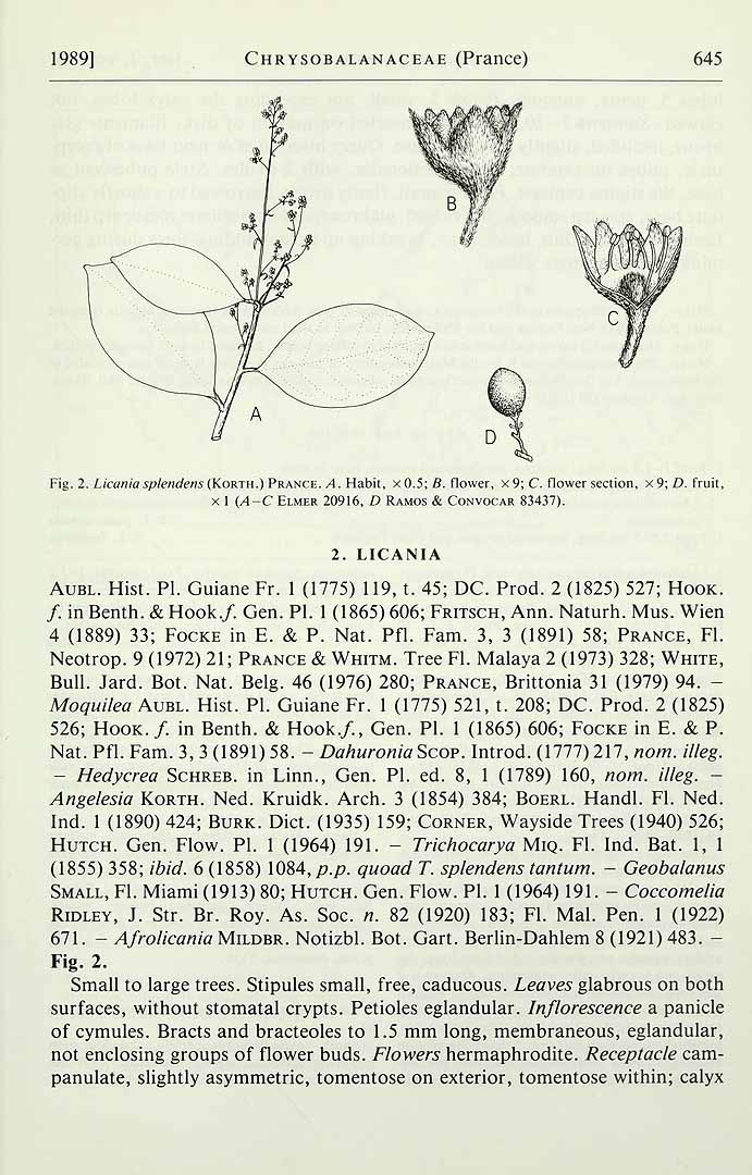 no HD illustration available (3)