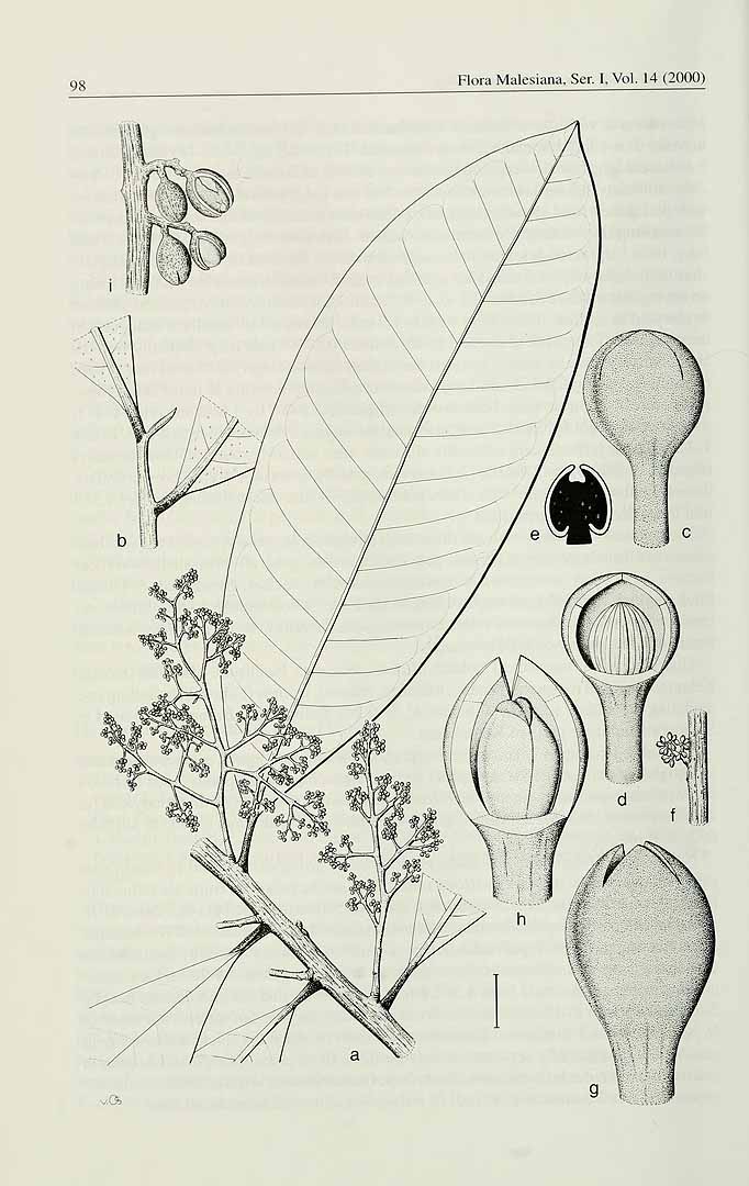 no HD illustration available (3)