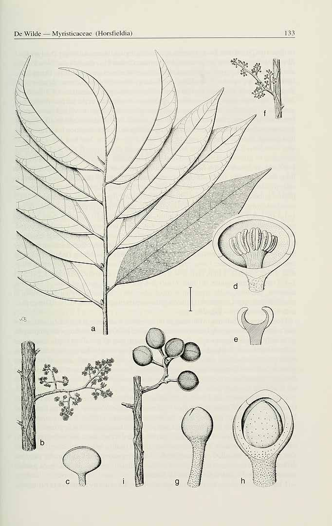 no HD illustration available (3)