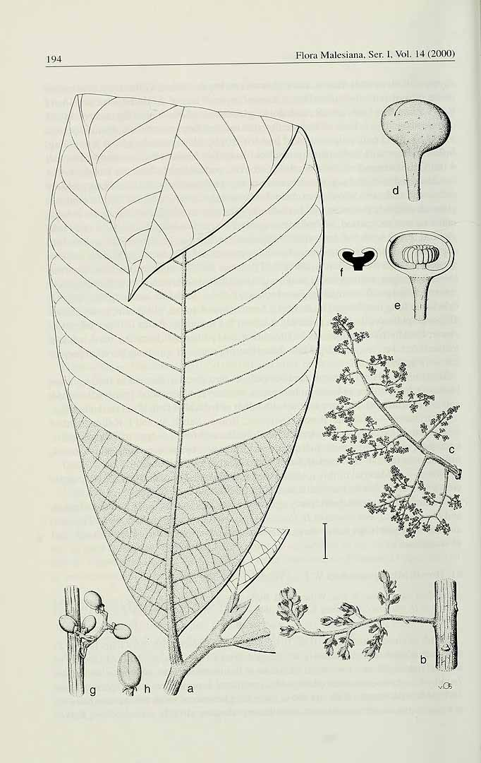 no HD illustration available (3)