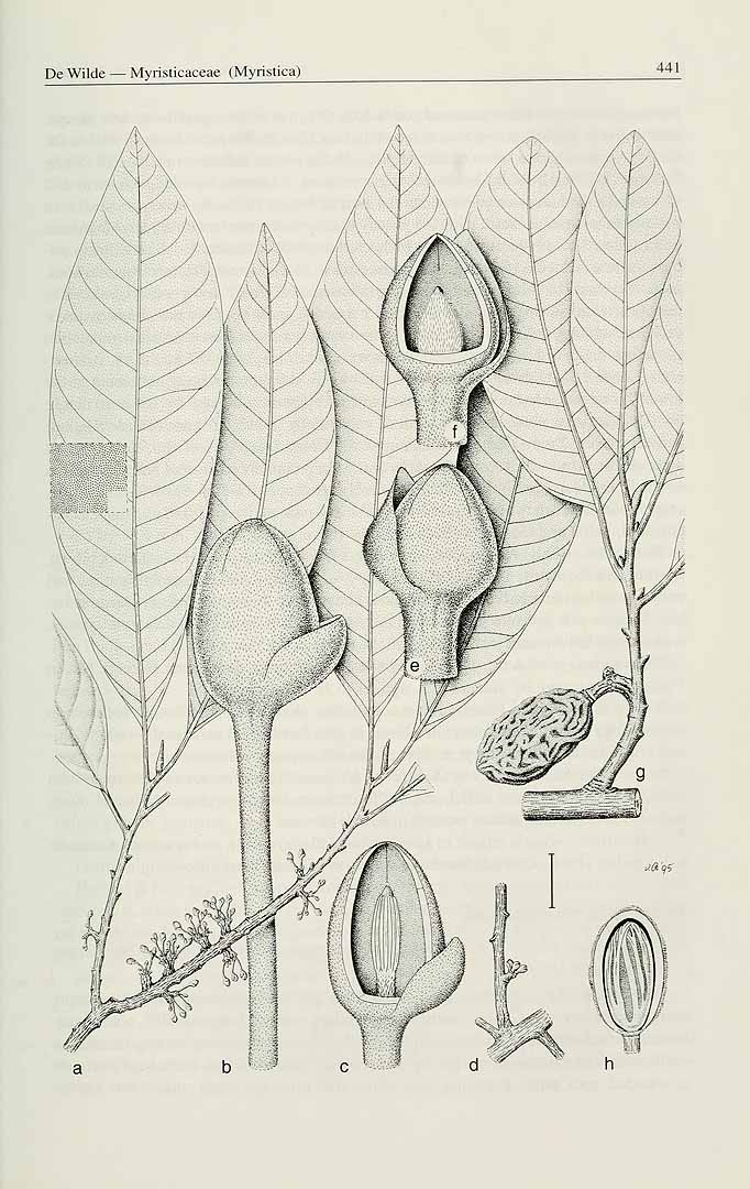 no HD illustration available (3)